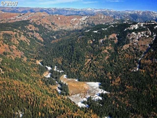 Primary listing photo, 300 Catherine Crk Meadow #1, Union, OR, 97883