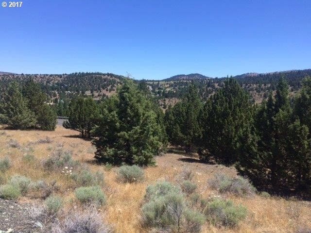 Primary listing photo, Adam RD, Canyon City, OR, 97820