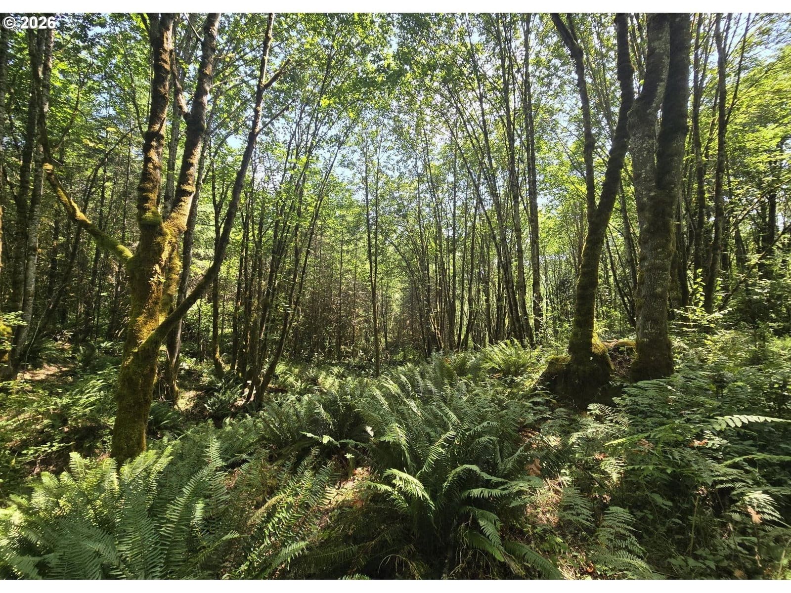 Primary listing photo, Tide Creek RD, Rainier, OR, 97048