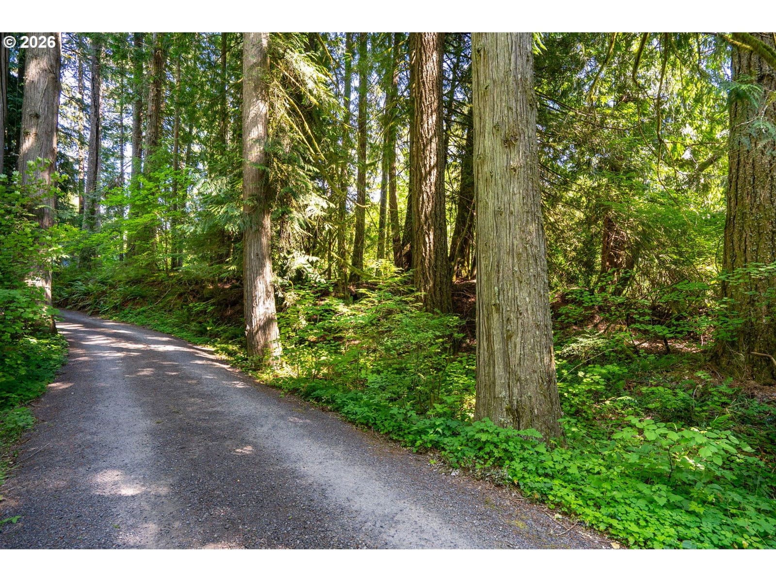 Primary listing photo, E Zig Zag River RD, Rhododendron, OR, 97049