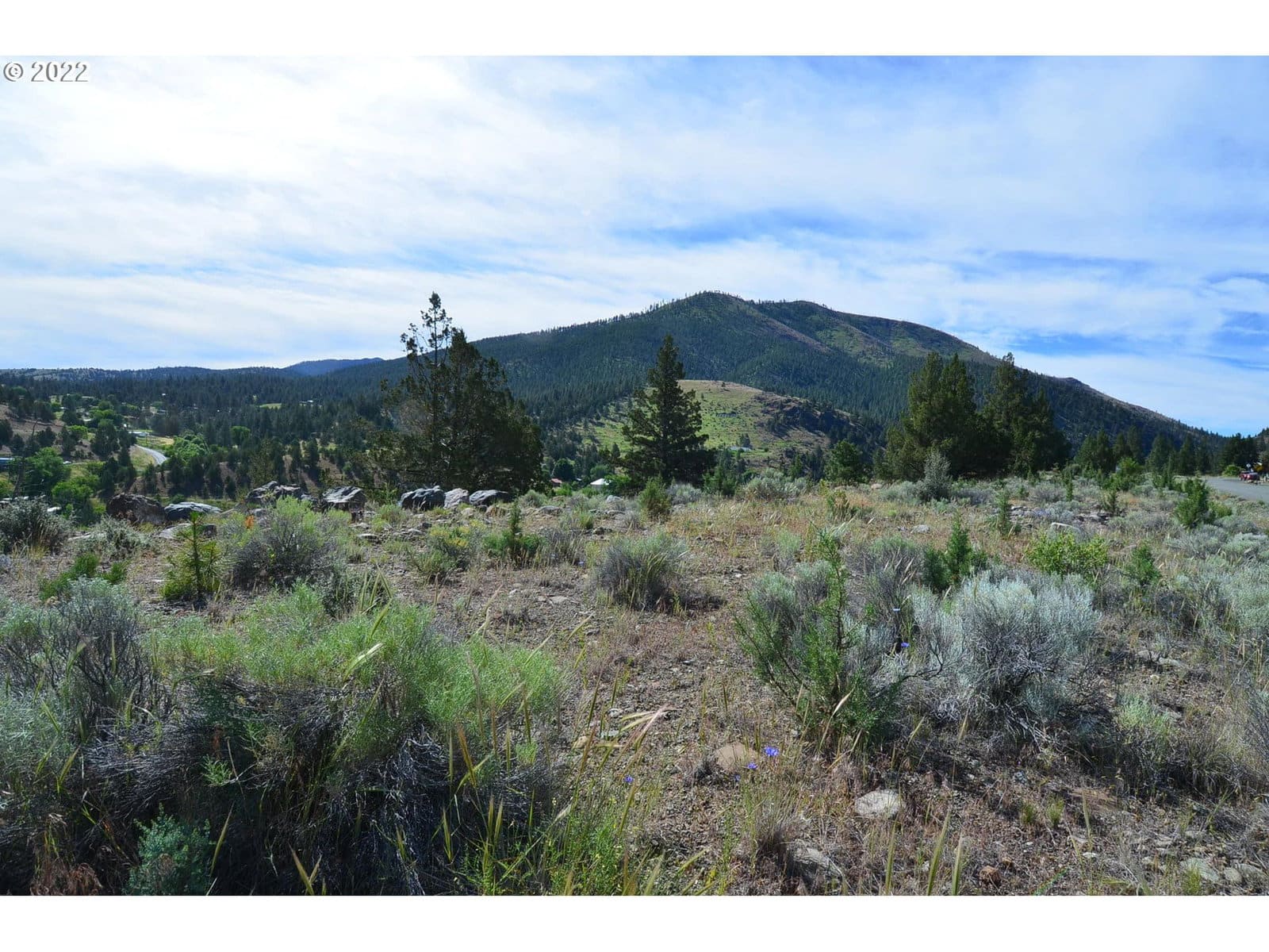 Primary listing photo, 216 ELKVIEW DR, Canyon City, OR, 97820