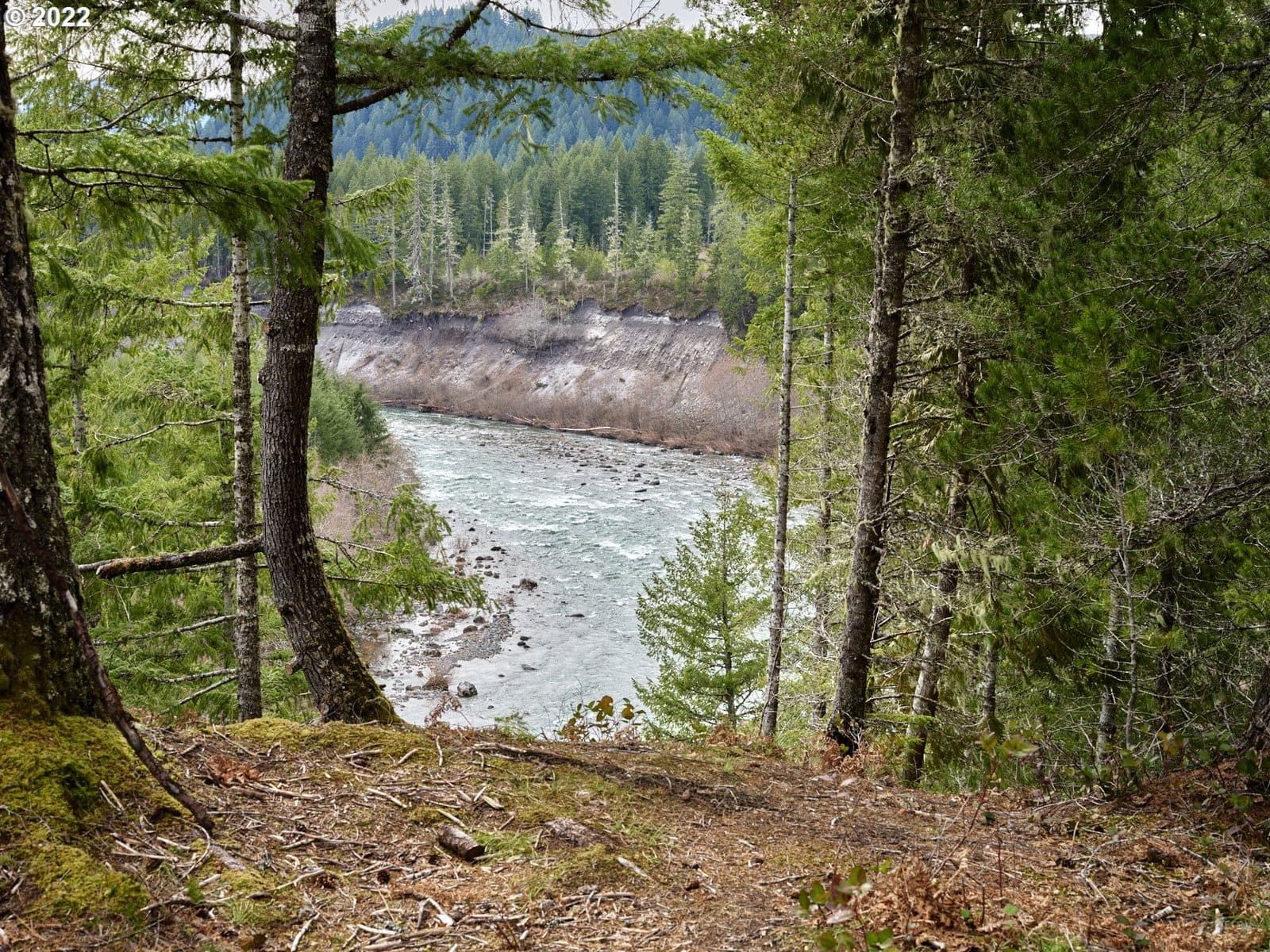 Primary listing photo, 2 Lahar LN, Cougar, WA, 98616