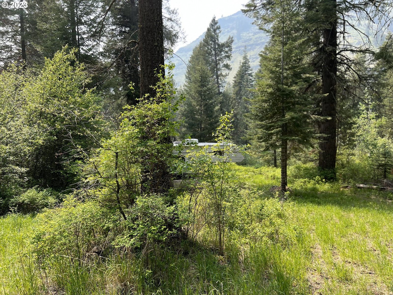 Primary listing photo, 59866 RIVER CANYON RD, Imnaha, OR, 97842