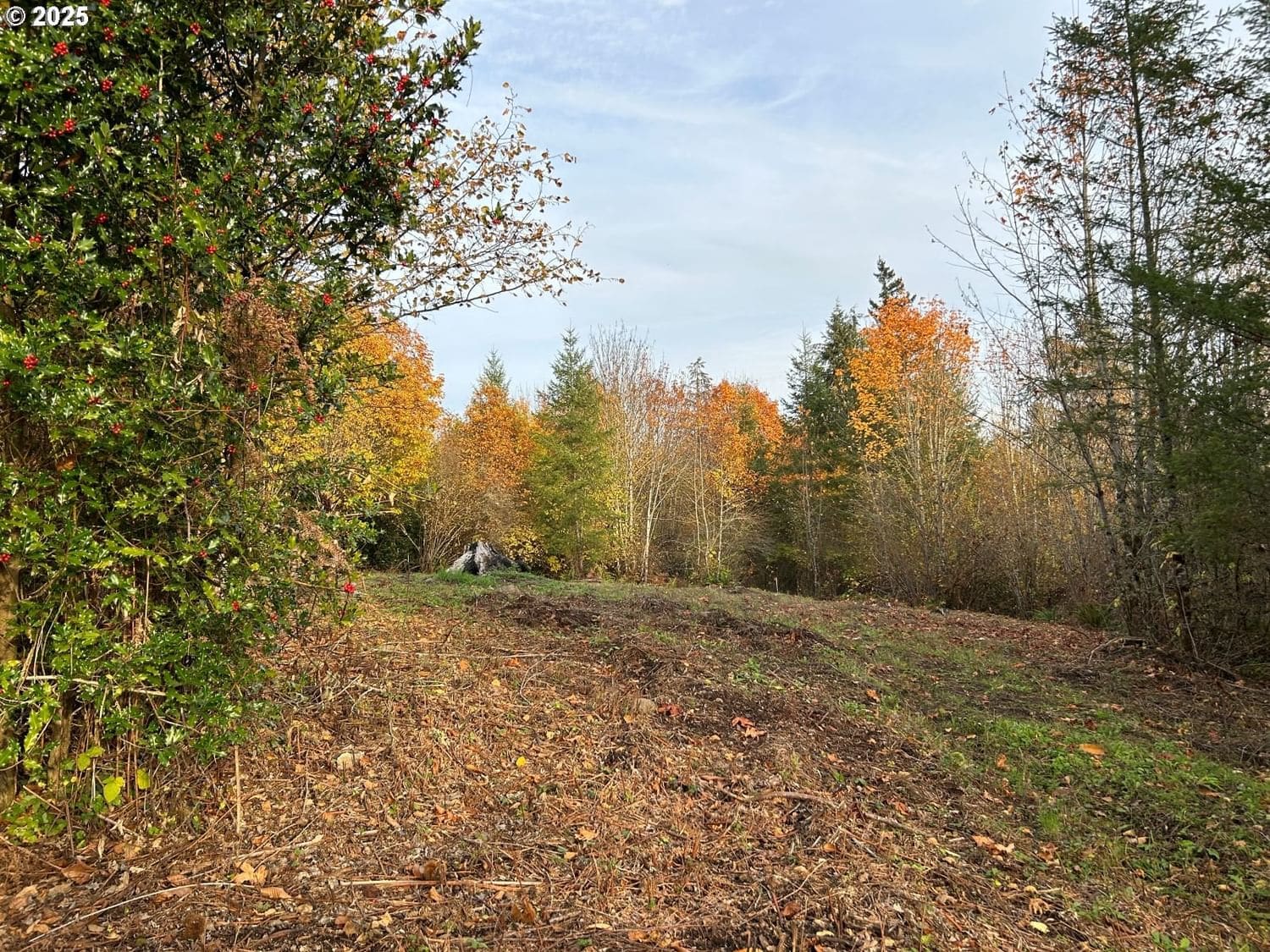 Primary listing photo, Fargher DR #1, Yacolt, WA, 98675