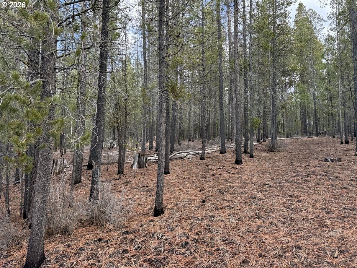 Primary listing photo, Schoonover 7 #2500, Crescent, OR, 97733