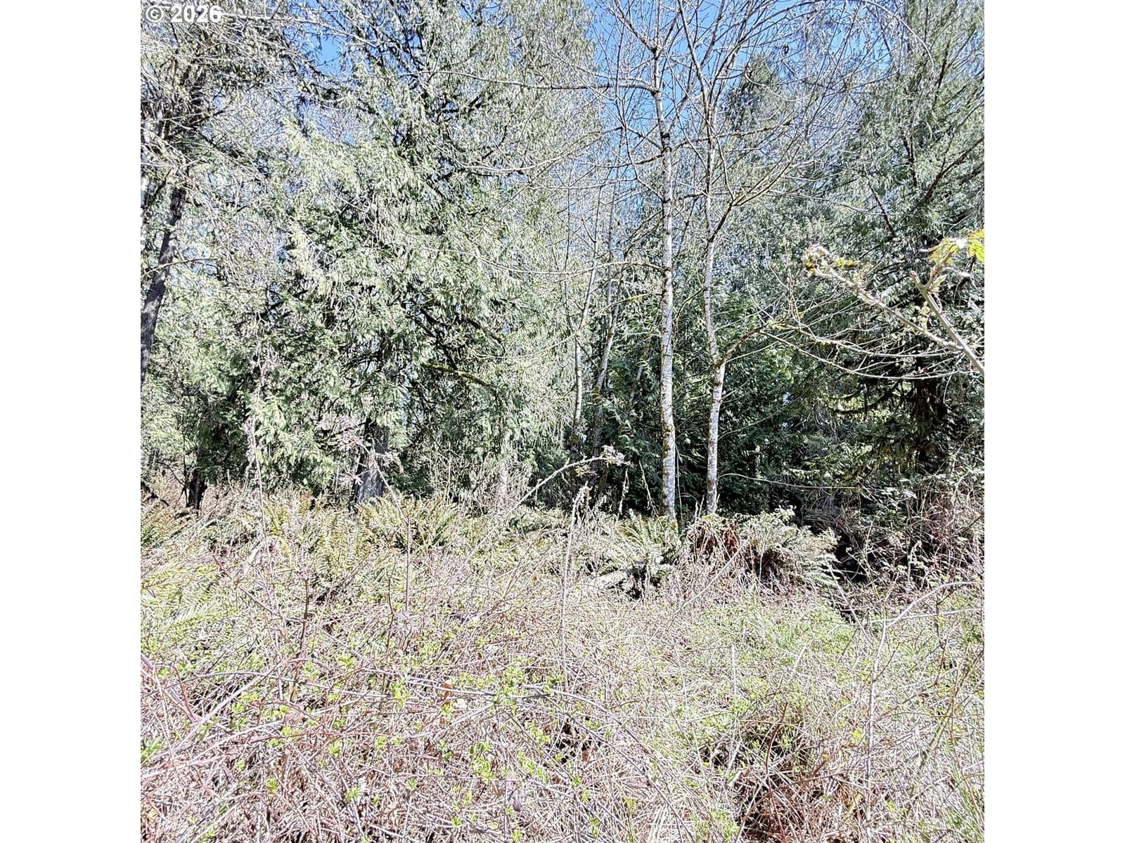 Primary listing photo, 0000 N Louisiana AVE, Vernonia, OR, 97064