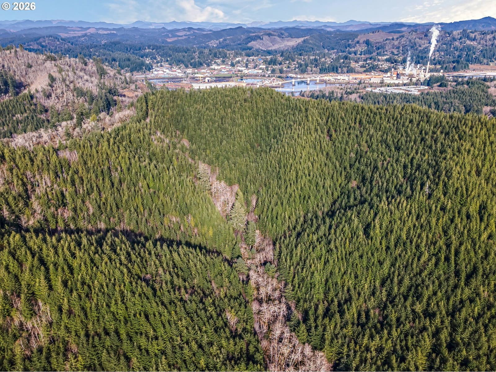 Primary listing photo, Criteser LOOP, Toledo, OR, 97391