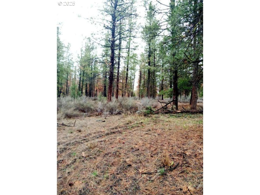 Primary listing photo, 1 Forest Rd 9715, Chiloquin, OR, 97624