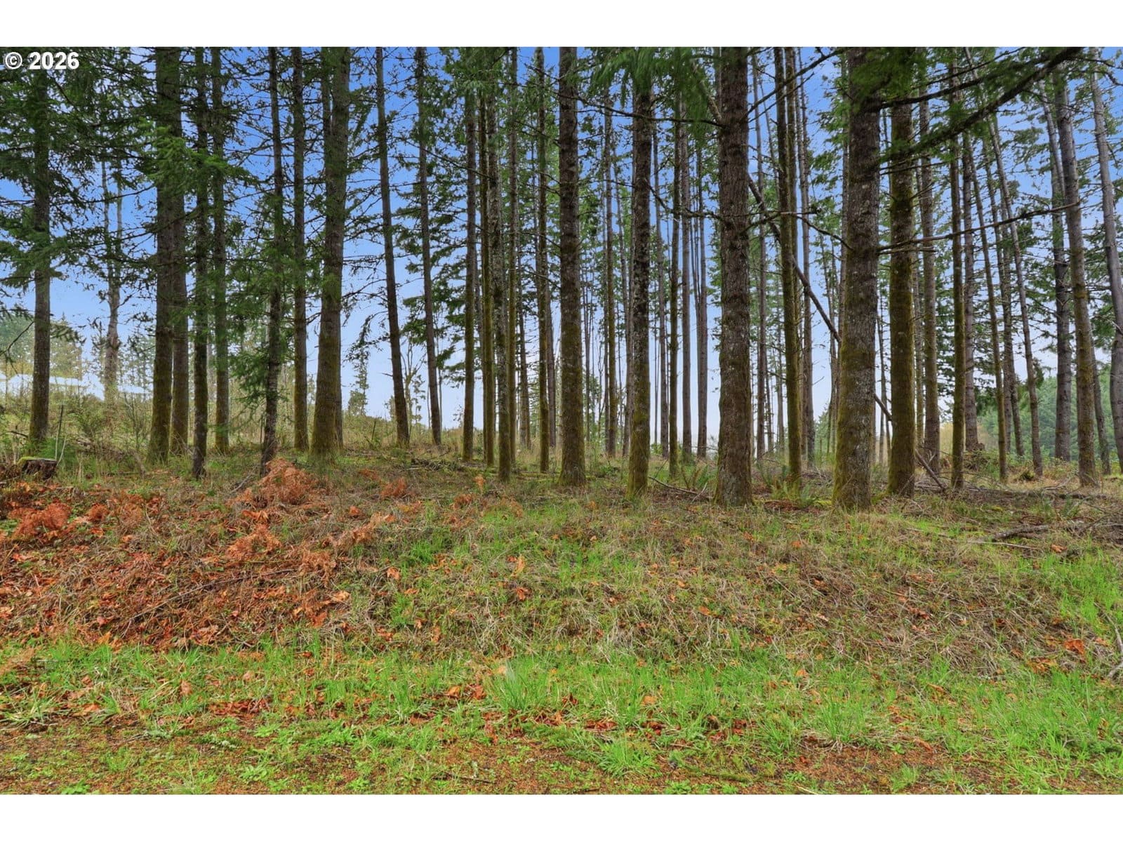 Primary listing photo, NW Pumpkin Ridge RD, North Plains, OR, 97133