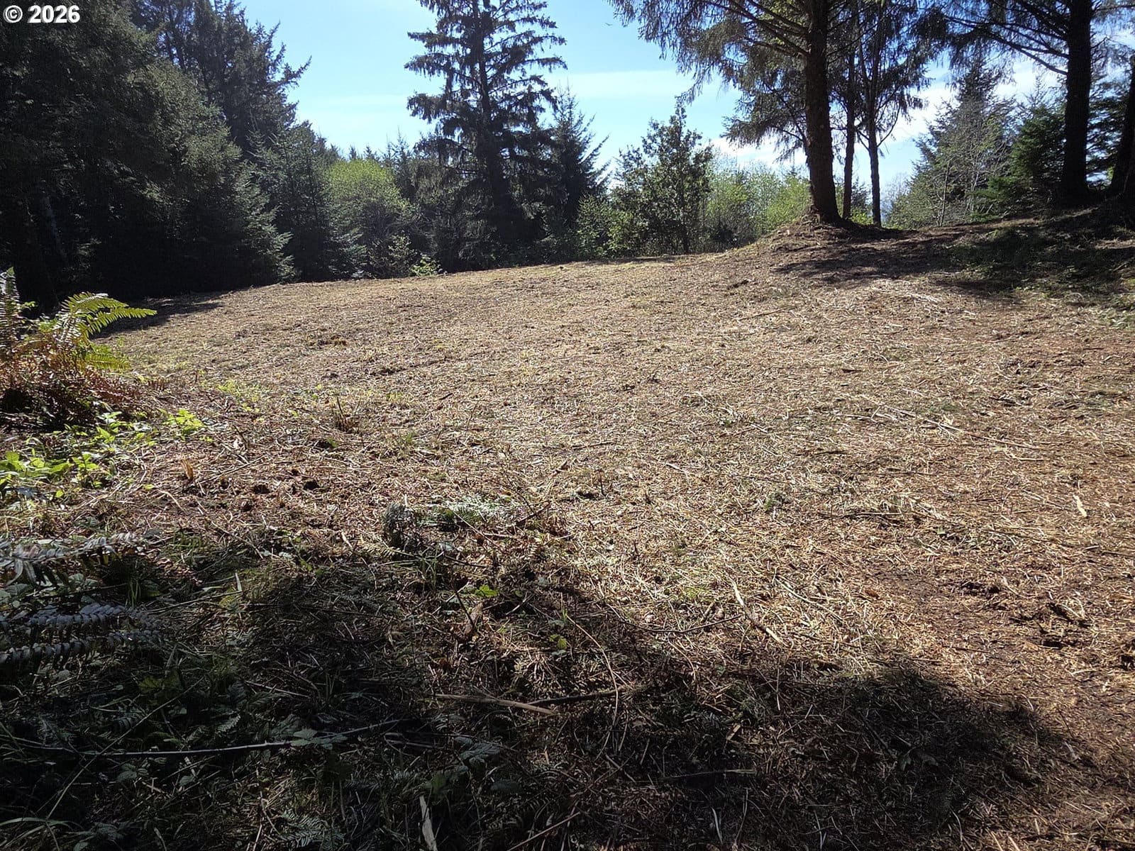 Primary listing photo, Hammond LN #9, Gold Beach, OR, 97444