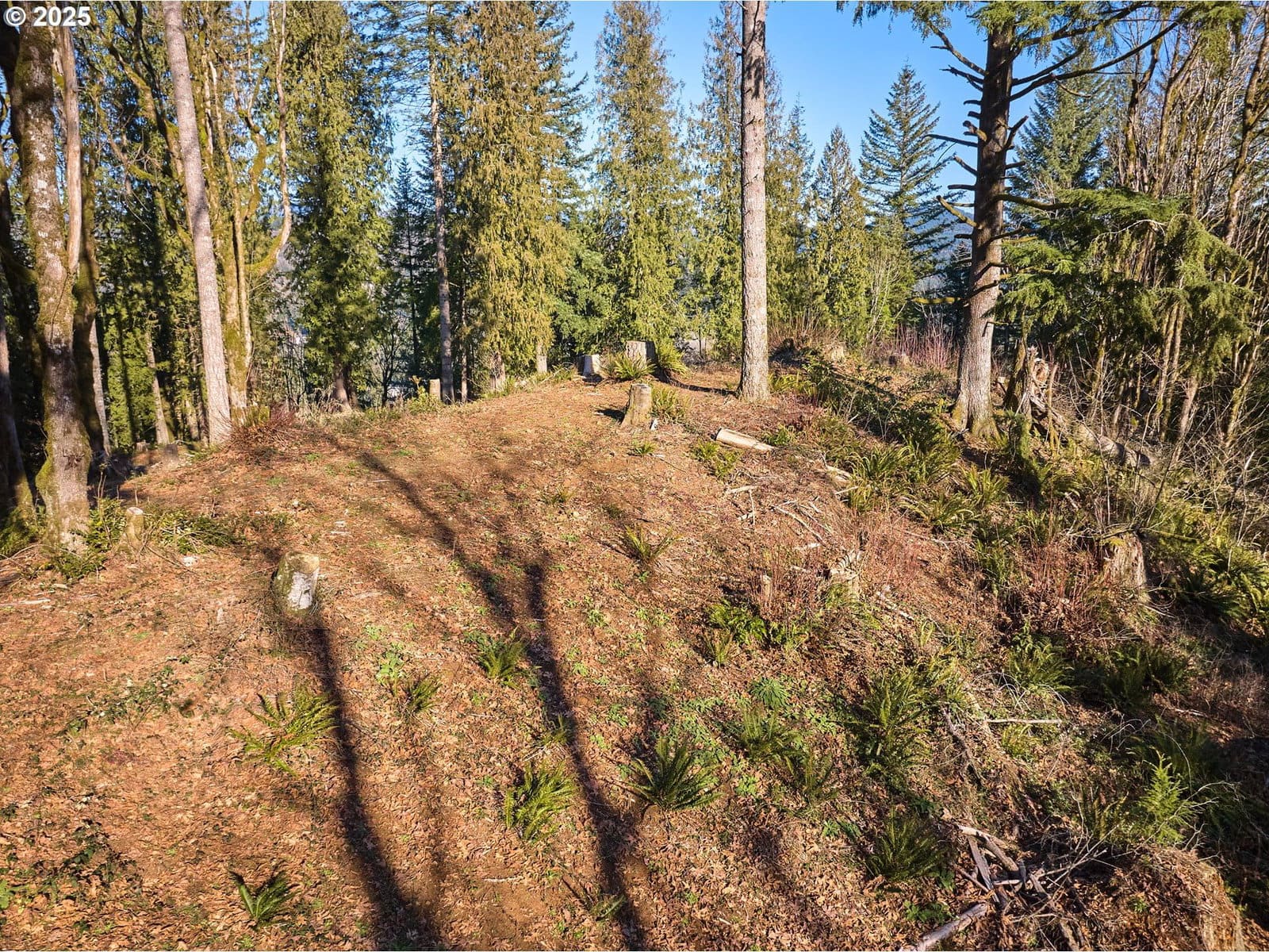 Primary listing photo, 452 WILDLIFE DR, Washougal, WA, 98671