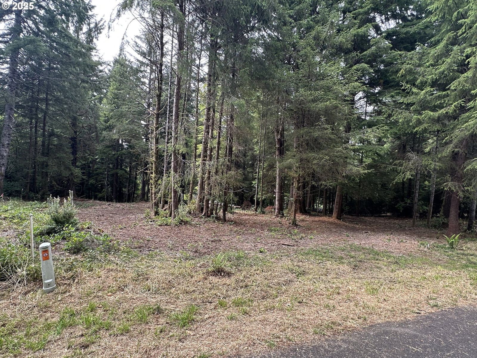 Primary listing photo, Summerbell DR #Lot 7, Florence, OR, 97439