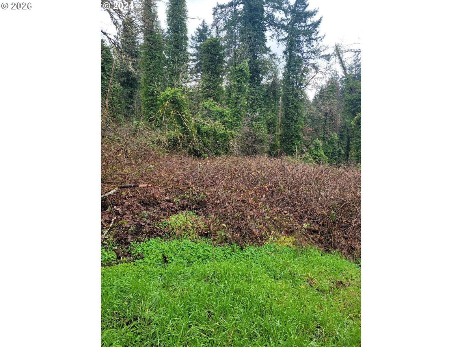 Primary listing photo, 0 S A ST, Springfield, OR, 97478