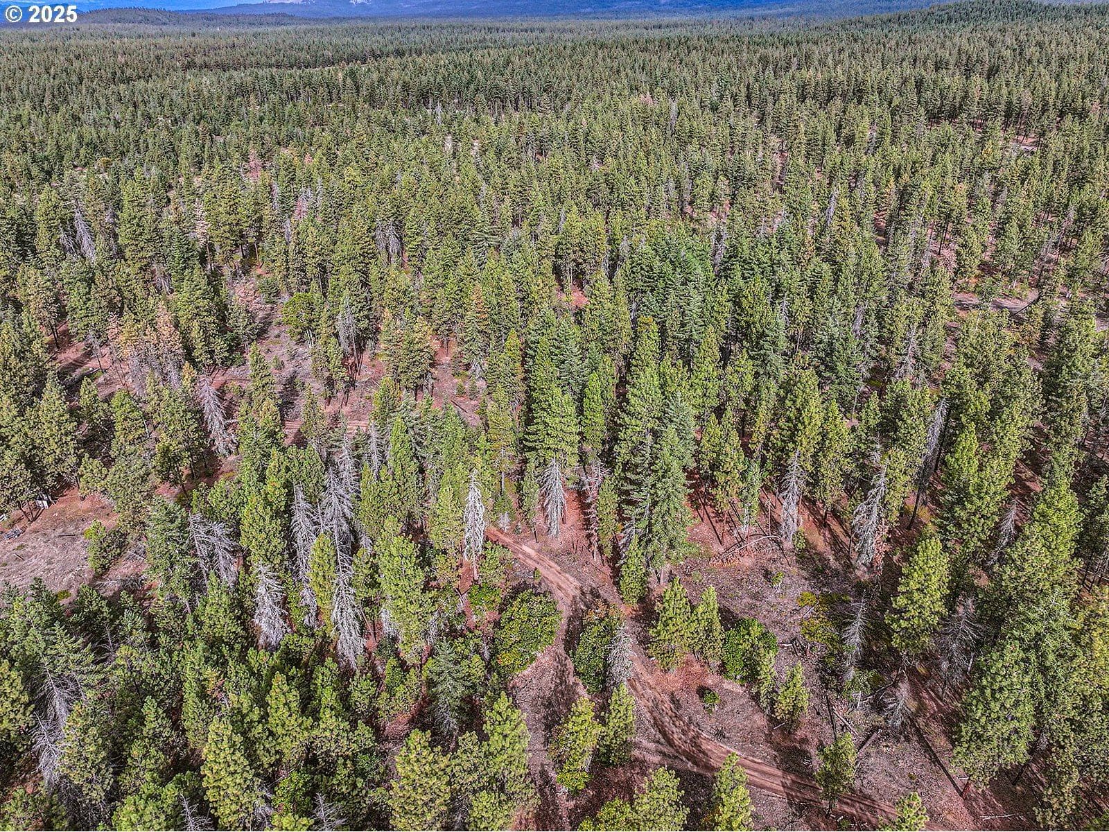 Primary listing photo, 68 MATOLA RD, Goldendale, WA, 98620